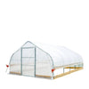 3.7 x 6.5 m Tunnel Greenhouse Grow Tent with 6 Mil Clear EVA Film, Roll-Up Sides, TMG-GH1220
