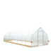 TMG Industrial 12’ x 40’ Tunnel Greenhouse Grow Tent w/6 Mil Clear EVA Plastic Film, Cold Frame, Hand Crank Roll-Up Sides, Peak Ceiling Roof, TMG-GH1240