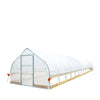 3.7 x 18 m Tunnel Greenhouse Grow Tent with 6 Mil Clear EVA Film, Roll-Up Sides, TMG-GH1260