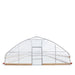 TMG Industrial 25’ x 50’ Tunnel Greenhouse Grow Tent w/6 Mil Clear EVA Plastic Film, Cold Frame, Hand Crank Roll-Up Sides, Peak Ceiling Roof, TMG-GH2550