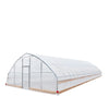 7.6 x 25 m Tunnel Greenhouse Grow Tent w/6 Mil Clear EVA Film, Roll-Up Sides, TMG-GH2580