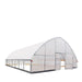 TMG Industrial 30’ x 30’ Tunnel Greenhouse Grow Tent w/6 Mil Clear EVA Plastic Film, Cold Frame, Hand Crank Roll-Up Sides, Peak Ceiling Roof, TMG-GH3030
