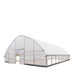 TMG Industrial 30’ x 40’ Tunnel Greenhouse Grow Tent w/6 Mil Clear EVA Plastic Film, Cold Frame, Hand Crank Roll-Up Sides, Peak Ceiling Roof, TMG-GH3040