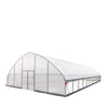 9 x 16 m Commercial Tunnel Greenhouse with 6 Mil Clear EVA Film, Roll-Up Sides, TMG-GH3050