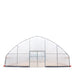 9.1 m x 24.4 m Commercial Tunnel Greenhouse (30' x 80') with 0.15 mm (6 Mil) Clear Poly Covers and Roll-Up Sides, TMG-GH3080-V2 TMG Industrial Australia