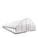 9.1 m x 24.4 m Commercial Tunnel Greenhouse (30' x 80') with 0.15 mm (6 Mil) Clear Poly Covers and Roll-Up Sides, TMG-GH3080-V2 TMG Industrial Australia