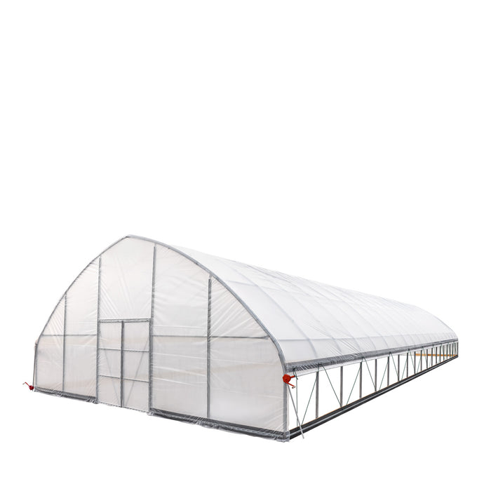 9.1 m x 24.4 m Commercial Tunnel Greenhouse (30' x 80') with 0.15 mm (6 Mil) Clear Poly Covers and Roll-Up Sides, TMG-GH3080-V2 TMG Industrial Australia
