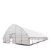 TMG Industrial 30’ x 80’ Tunnel Greenhouse Grow Tent w/6 Mil Clear EVA Plastic Film, Cold Frame, Hand Crank Roll-Up Sides, Peak Ceiling Roof, TMG-GH3080