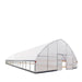 9.1 m x 24.4 m Commercial Tunnel Greenhouse (30' x 80') with 0.15 mm (6 Mil) Clear Poly Covers and Roll-Up Sides, TMG-GH3080-V2 TMG Industrial Australia