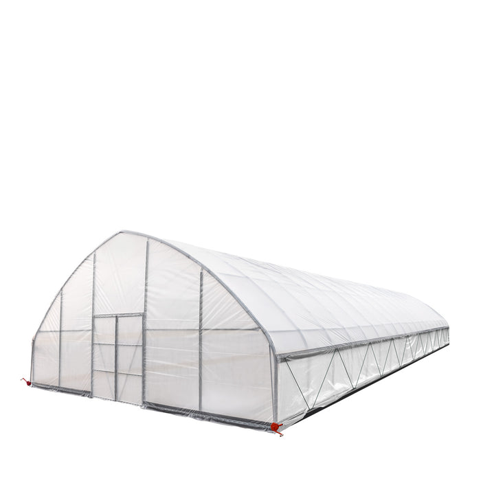 9.1 m x 24.4 m Commercial Tunnel Greenhouse (30' x 80') with 0.15 mm (6 Mil) Clear Poly Covers and Roll-Up Sides, TMG-GH3080-V2 TMG Industrial Australia