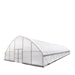 9.1 m x 24.4 m Commercial Tunnel Greenhouse (30' x 80') with 0.15 mm (6 Mil) Clear Poly Covers and Roll-Up Sides, TMG-GH3080-V2 TMG Industrial Australia