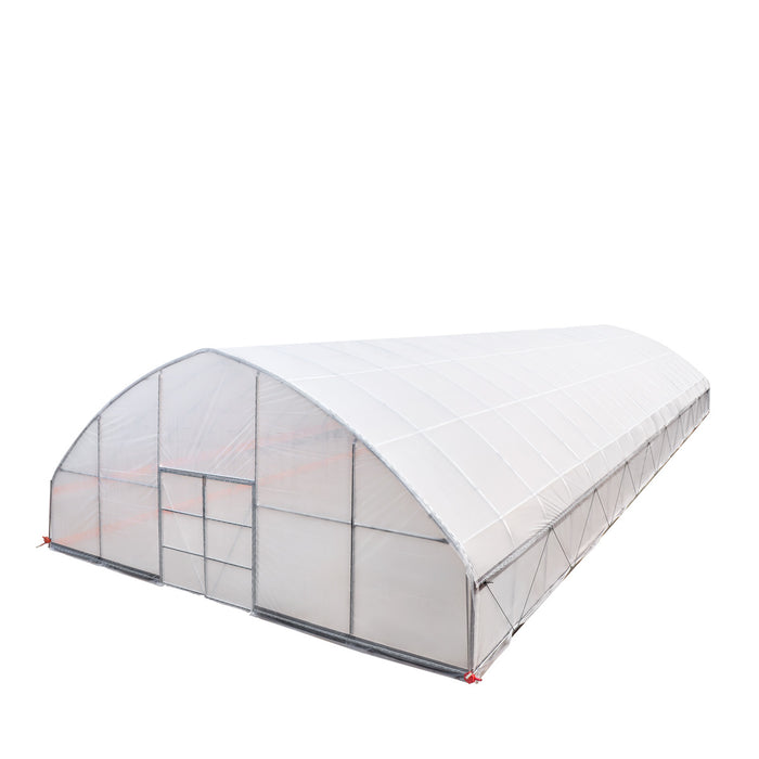 9.1 m x 24.4 m Commercial Tunnel Greenhouse (30' x 80') with 0.15 mm (6 Mil) Clear Poly Covers and Roll-Up Sides, TMG-GH3080-V2 TMG Industrial Australia